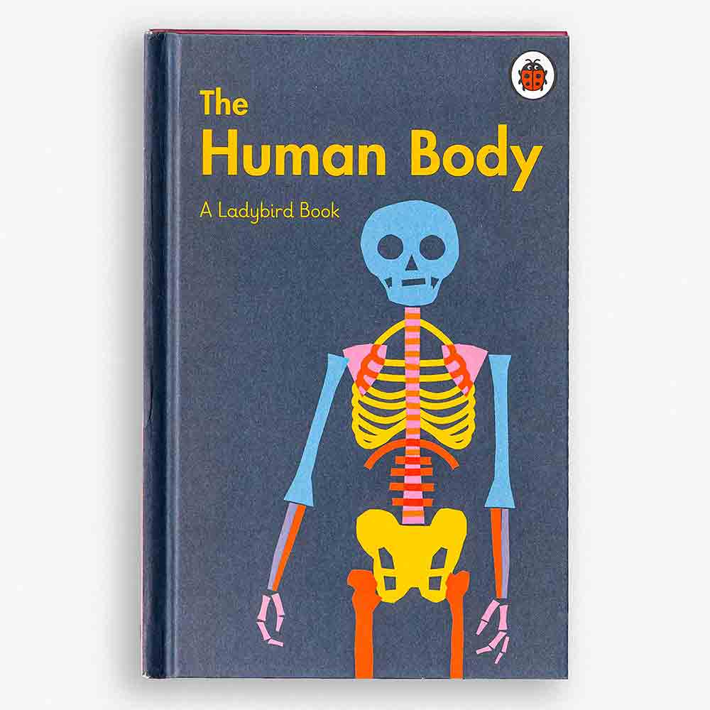 The Human Body - a picture bookPaweł Mildner