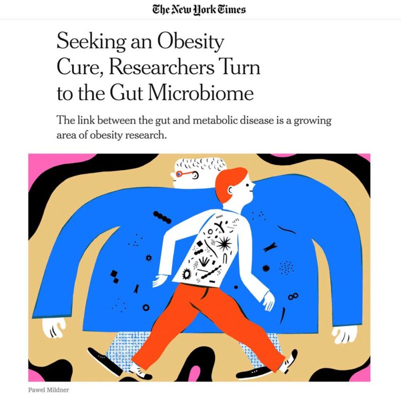 THE OBESITY CURE / THE NEW YORK TIMES
